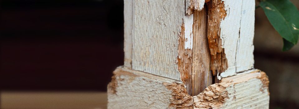 A weathered porch post with peeling paint and rotted wood